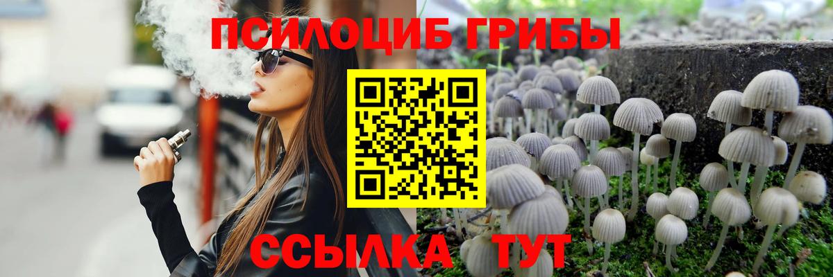 Галлюциногенные грибы прущие грибы  Галлюциногенные грибы Psilocybe  Вход с VPN  Красноярск 